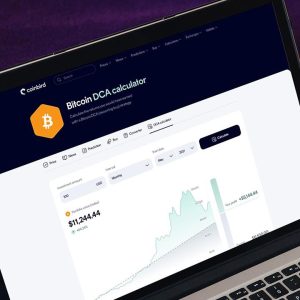 $100/Month in Bitcoin Since 2015 Would Have Turned $13,700 Into $632,000, Coinbird Analysis Shows