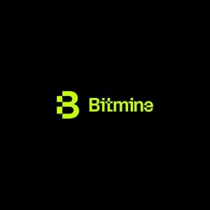 Home 236 UseTheBitcoin Bitmine Immersion Technologies Announces Proposed Series A Perpetual Preferred Stock Offering