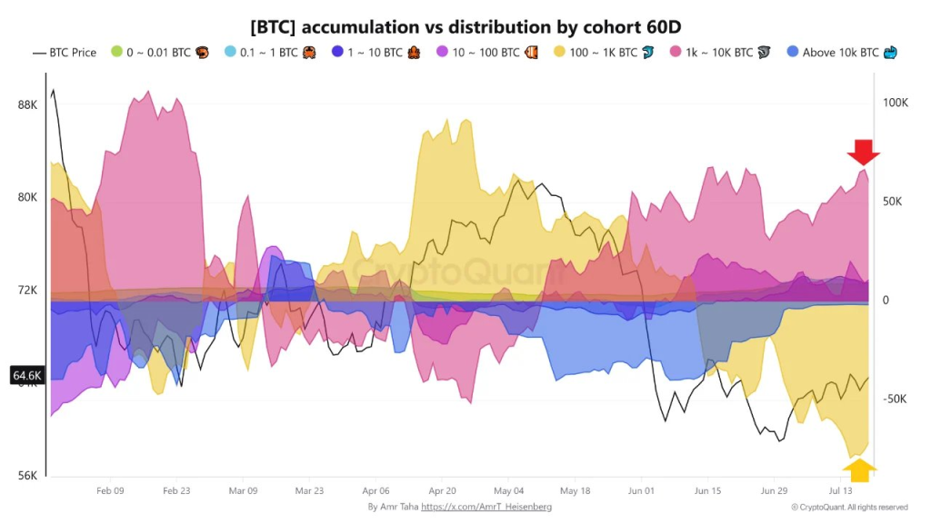 Bitcoin Whale Accumulation Tops 66,700 BTC in 60 Days 1 https://usethebitcoin.com/wp-content/uploads/2026/07/image1-27.png UseTheBitcoin image2 11