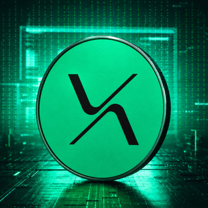 RISEx Airdrop Guide: How to Earn and Track RISE Points Before the Token Launch